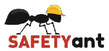 SafetyAnt